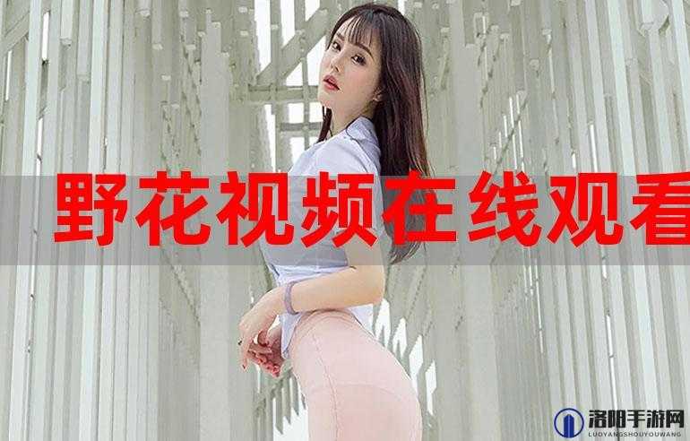 野花视频在线观看免费观看最新 6：海量精彩内容等你发现