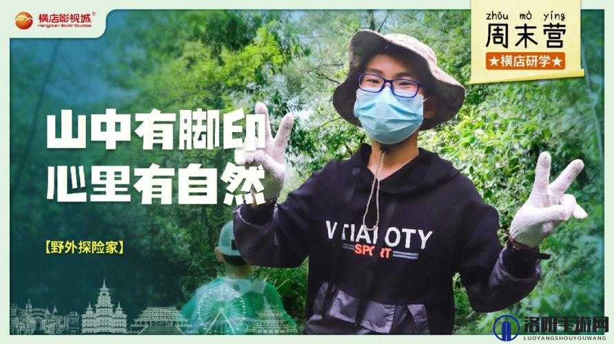 gogogo 是免费的还是存在仿冒情况探究