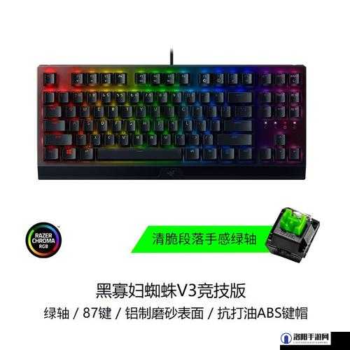 黑寡妇 v3 无线究竟多少入手才合适呢