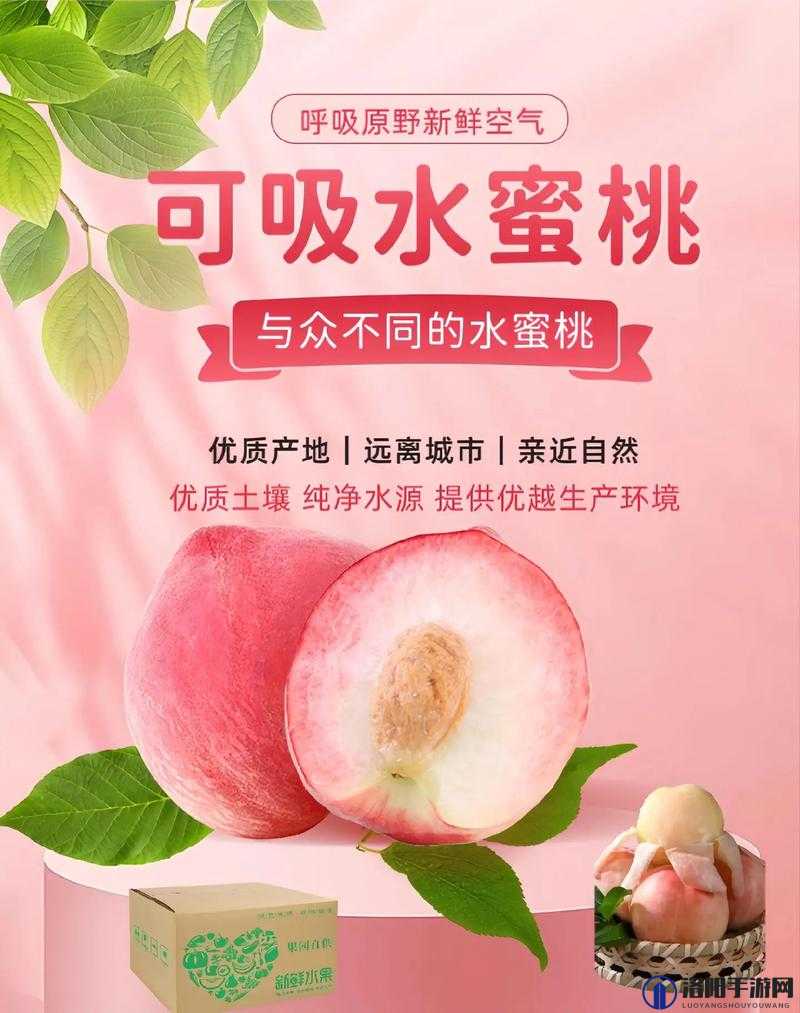 水蜜桃着色入口：探索水蜜桃的奇妙世界与独特魅力