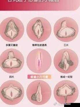 震惊私密部位被操的惊人呼喊