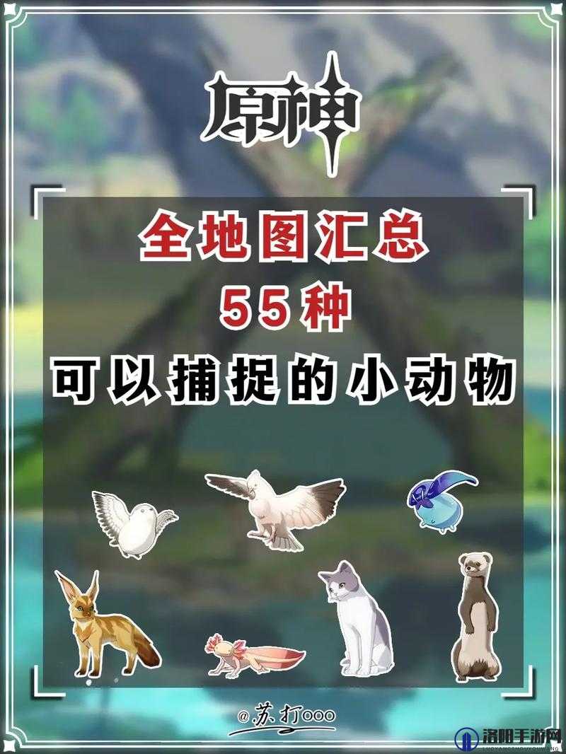 原神动物行为拍摄攻略，如何完成原神动物行为拍摄活动
