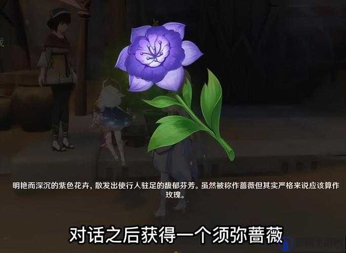 原神须弥蔷薇种子获取全攻略