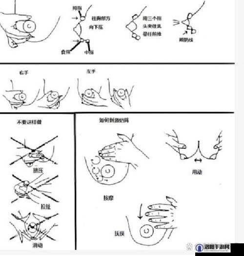 如何正确地挤牛奶和拔萝卜:实用技巧分享
