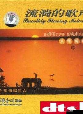 Tobu1004k：带你领略独特的音乐魅力之旅