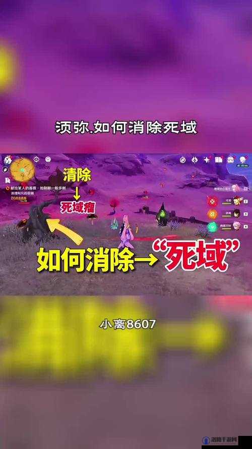 原神死域怎么清除，全面攻略解析