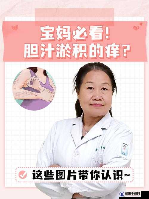 WHEELTPE 孕妇轮内容不打码：探索孕期的奥秘与挑战