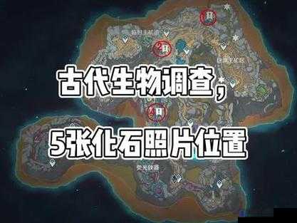 原神层岩巨渊化石照片探秘，位置全揭秘