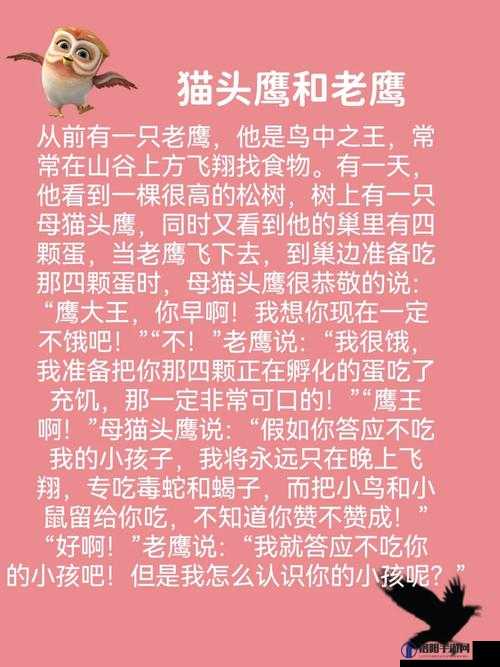 BBBBwWww 所蕴含的独特魅力与故事