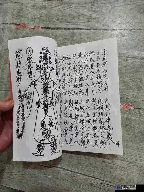 老中医为雨萱排阴蝳:探寻神秘排蝳之法