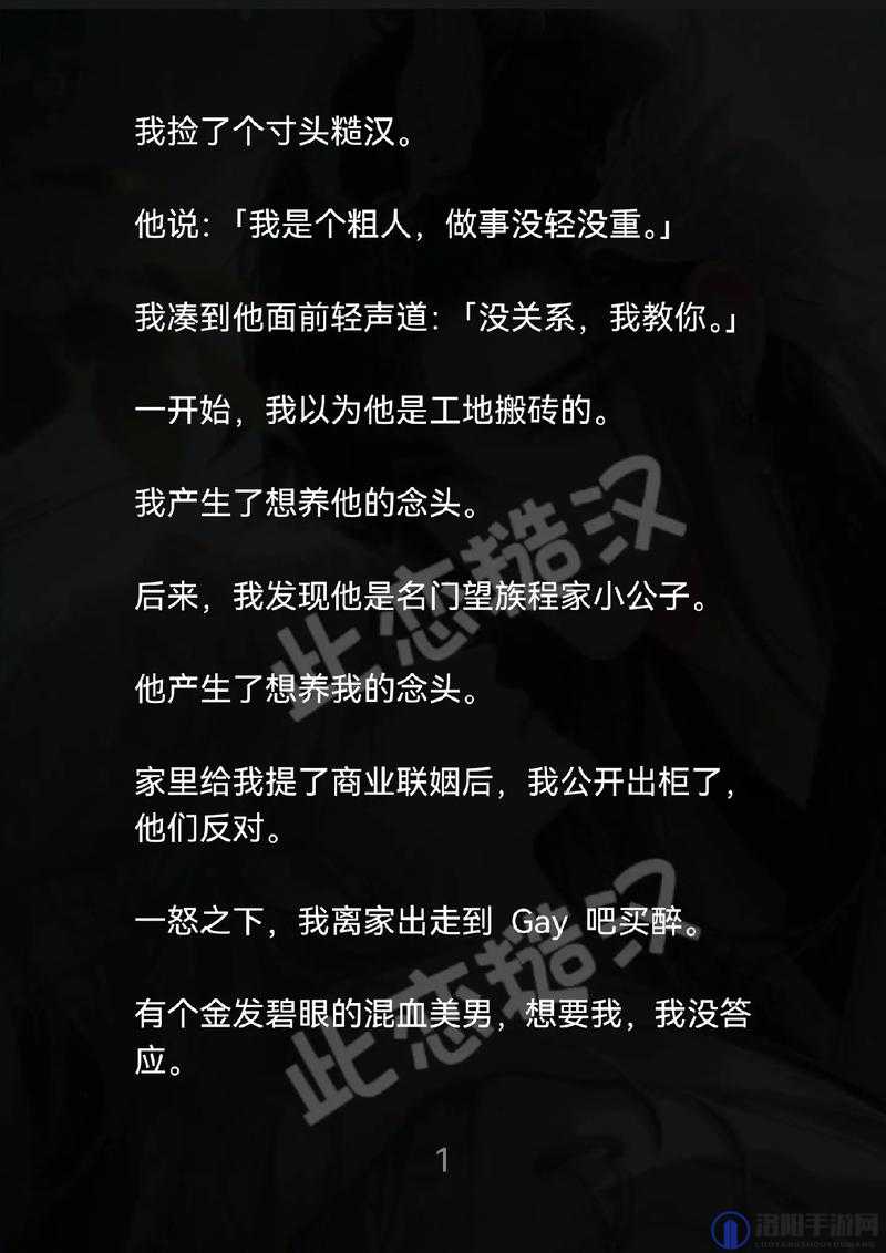融化 1V1H- 探索未知世界中独特的能量转化之旅
