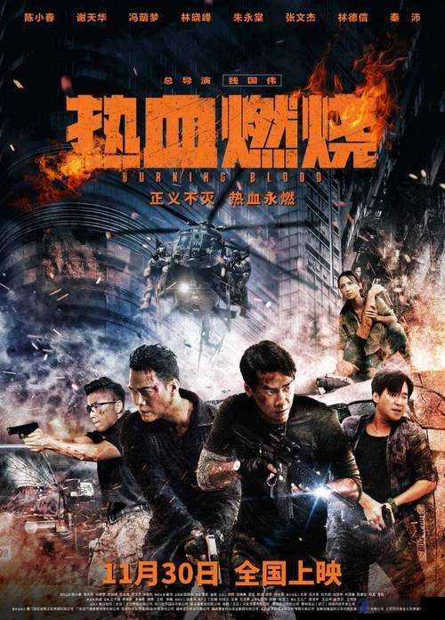 热血战斗：gogogo 电影完整版，激情燃烧的战斗之旅