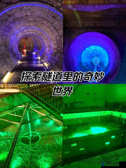 秘密通道 3 秒自动跳转不会很卡：带你快速进入奇妙世界