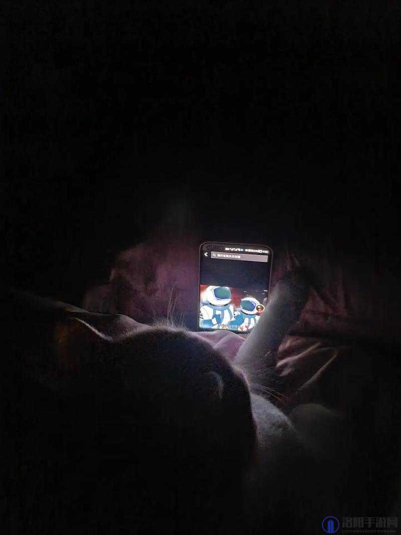 男生半夜不睡觉竟偷偷在 B 站看些啥
