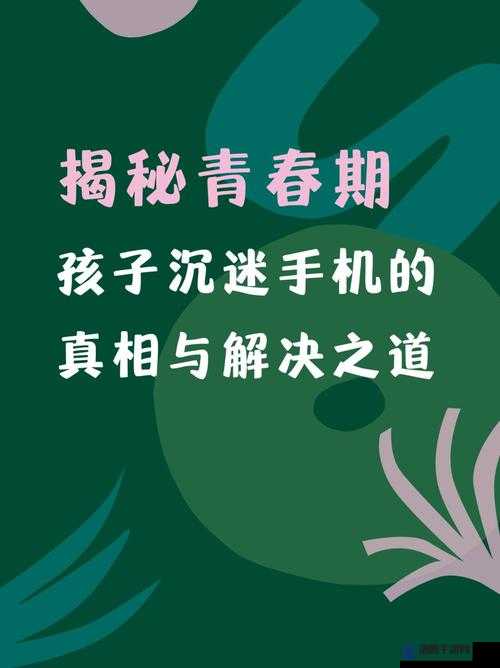 日本大全:探索十九岁青春的奥秘