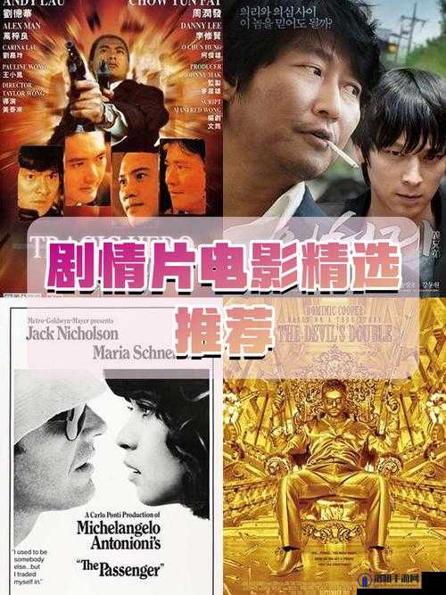 最好看的中文字幕国语电影之经典影片精彩呈现不容错过