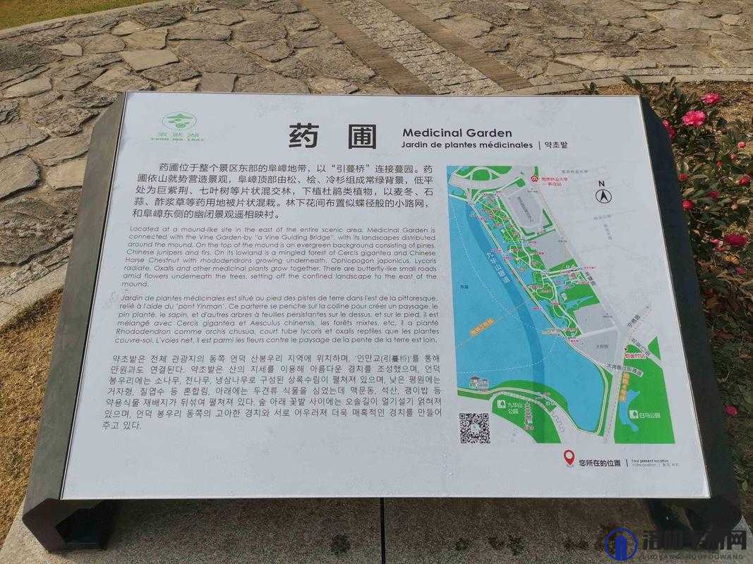 中药铺子药圃有什么用及药圃播种攻略
