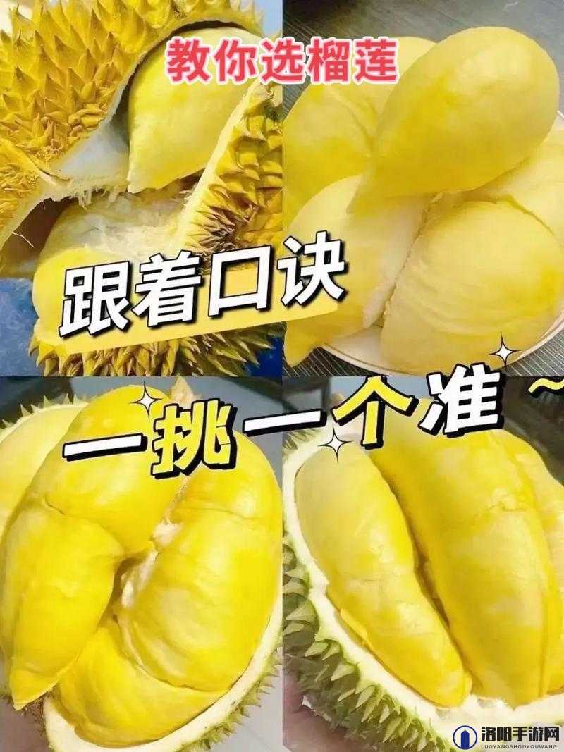 教你如何品尝正宗榴莲：lll.999 榴莲视频