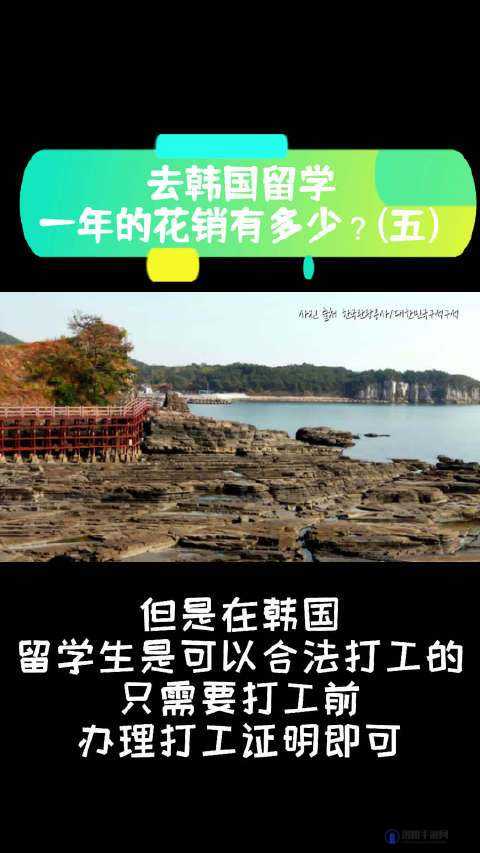免费韩国一卡二卡三卡四卡：带你领略韩国文化的魅力