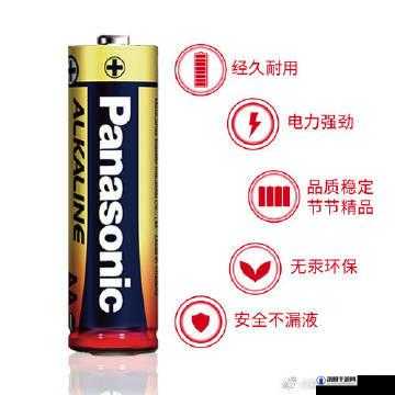 中国 VX 站安装包安全稳定下载及使用指南