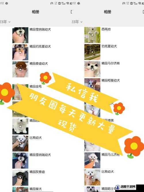御宠达人,解锁所有特殊地图的秘籍