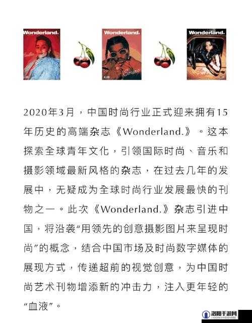 日韩殴美文化艺术音乐时尚影视交流与合作发展研究