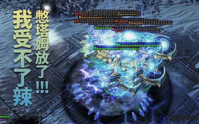 代号海文星索斯山脉攻略，集装箱产出物资详解及索斯山脉熊的位置