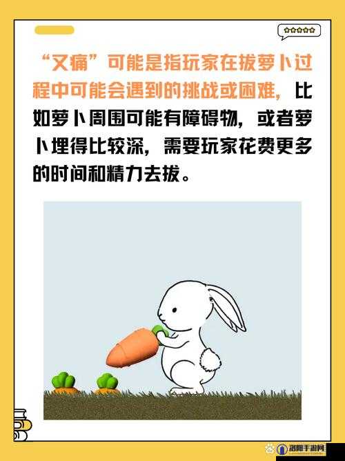 拔萝卜痛又降黄 9.1 现看处理技巧：详细解析与应对方法