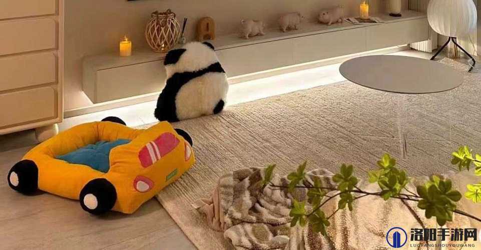 新妹妹窝：一个充满温暖与爱的独特空间