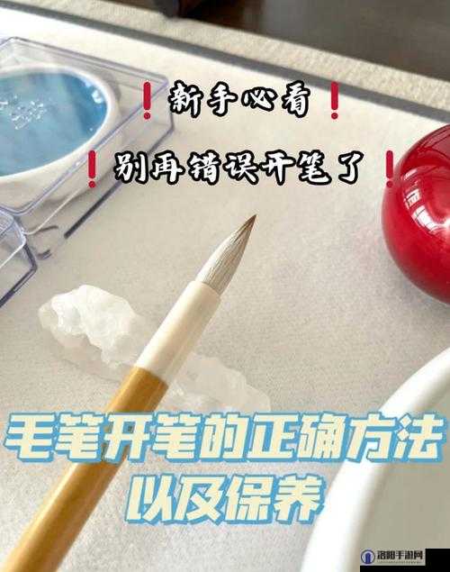 久久精品亚洲 OV 无码毛笔的正确使用方法及相关技巧
