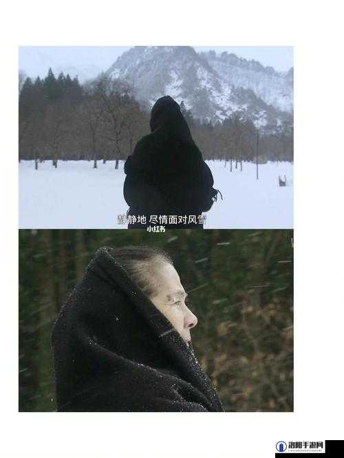 我渴望免费畅享在线电影视频的精彩之旅