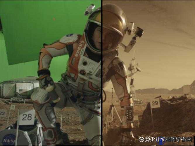 小电影 PYTHON ：一部独特视角下的创意影像作品