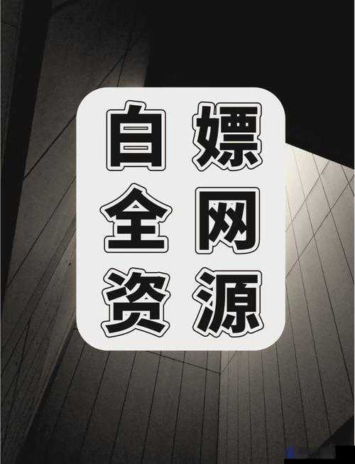 在线资源天堂www：一个汇聚海量资源的神奇宝库