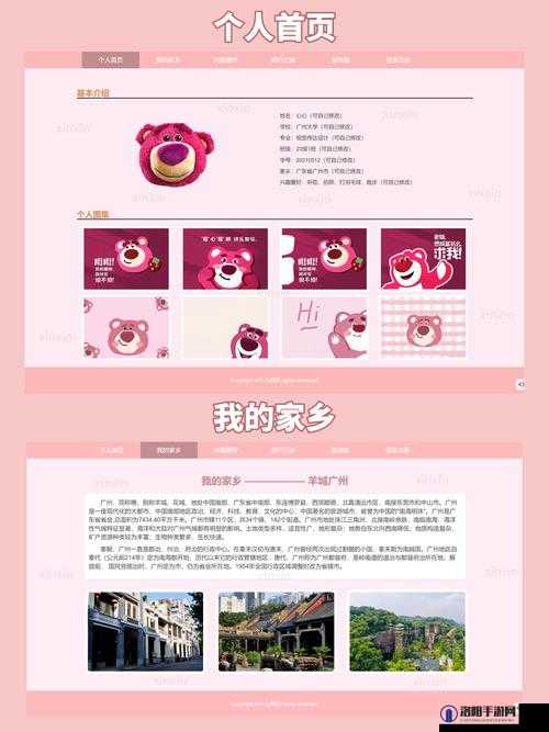 成品网站代码大全：网站建设必备资源库