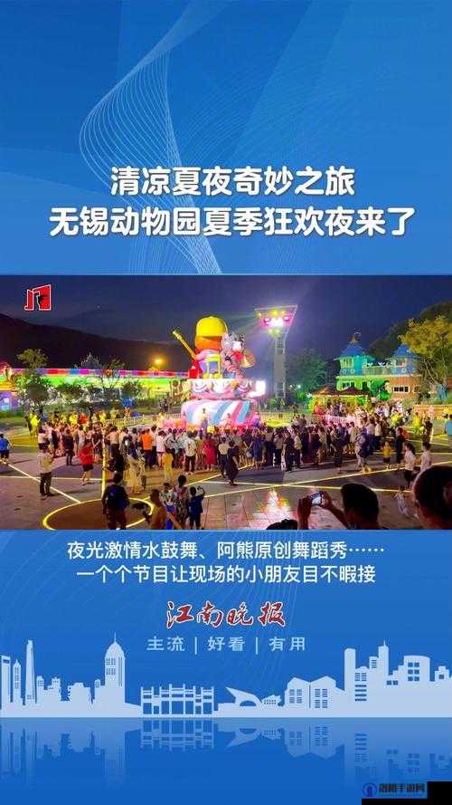 午夜爽爆了：一场令人心跳加速的奇妙狂欢之旅