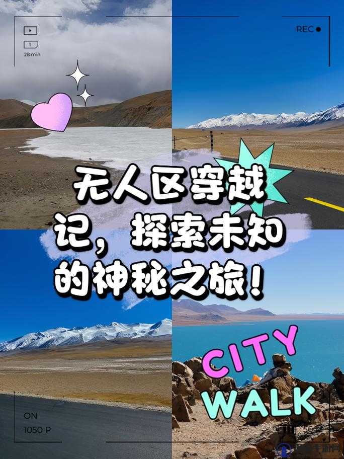 无人区码卡二卡 3 卡 4 卡无的独特探索之旅