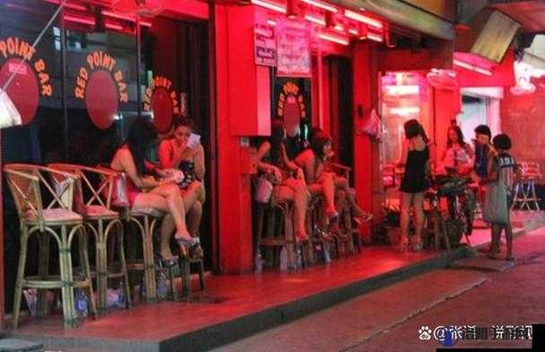 夜爽妓女 8888 熟女老少配：激情夜生活的多重体验