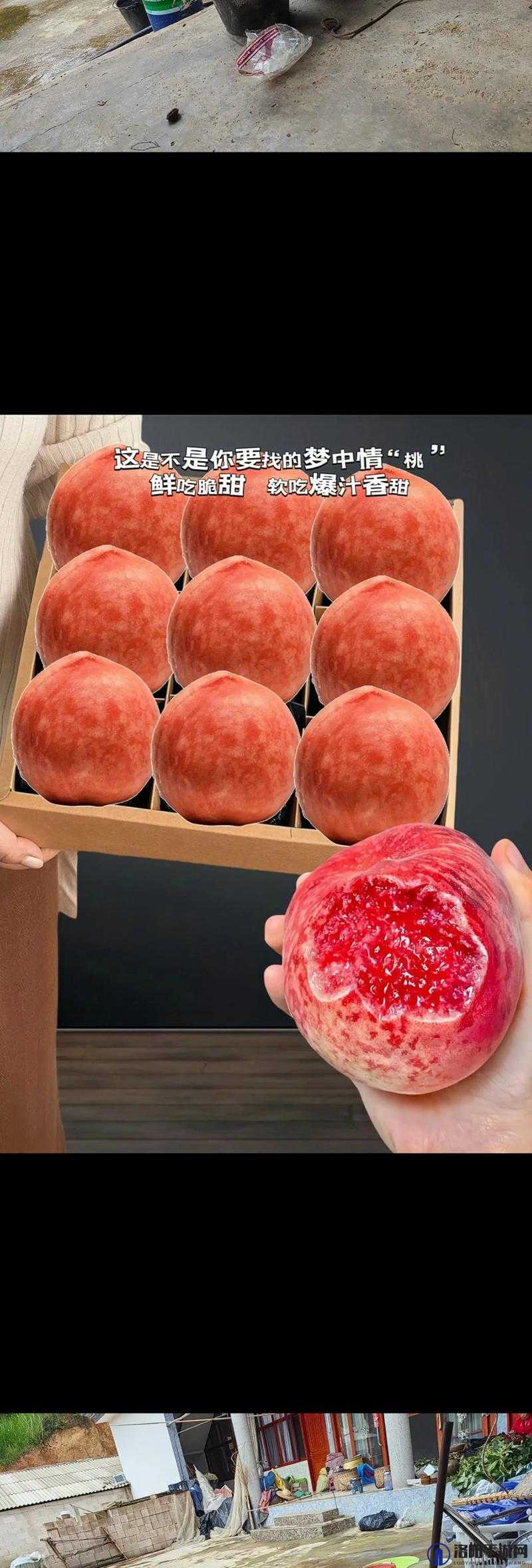 快灬快灬 一下爽蜜桃：享受极致快感的秘诀