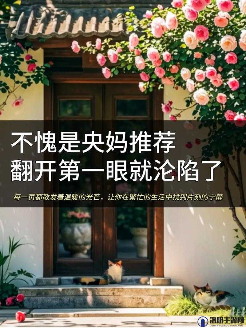 99国产精品秘：带你领略不一样的精彩世界