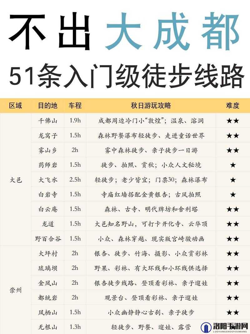 m 圈的 100 个任务：关于其具体内容与详细分析