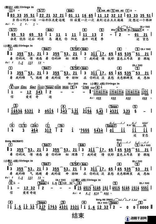 探寻 uzun h？vaat illa k？ya 歌词的魅力：深入土耳其音乐的情感世界