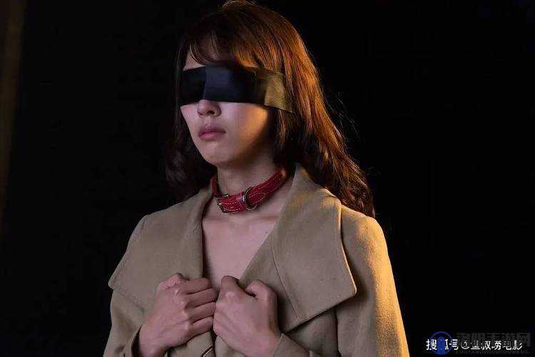 1024 看金沙人妻你懂的：探索成年人世界的精彩与奥秘