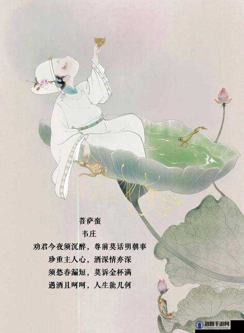 JY 收集系统中姜落柒作者菩萨蛮的奇妙故事