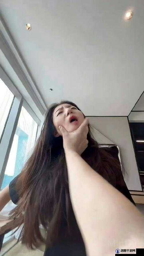 张津瑜和吕总三部曲在哪里看:探寻其流传踪迹及背后真相