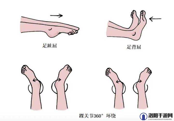 两个男生做下肢运动小腹变大：探究其中隐藏的健康谜团