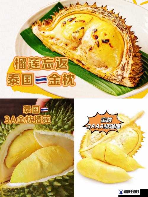 榴莲推广 APP 网站入口：畅享榴莲美味与便捷购物体验