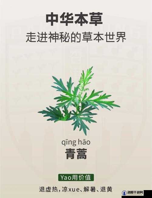 XZL仙踪林网站免费入：一个值得探索的神奇世界