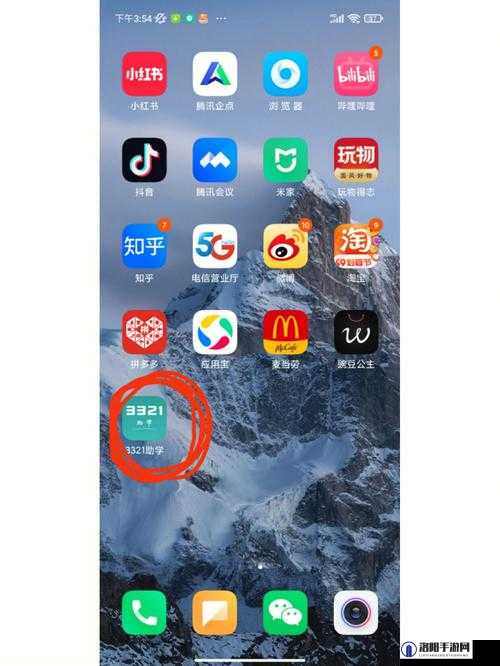 大菠萝app福引导前往：开启便捷高效的应用体验之旅