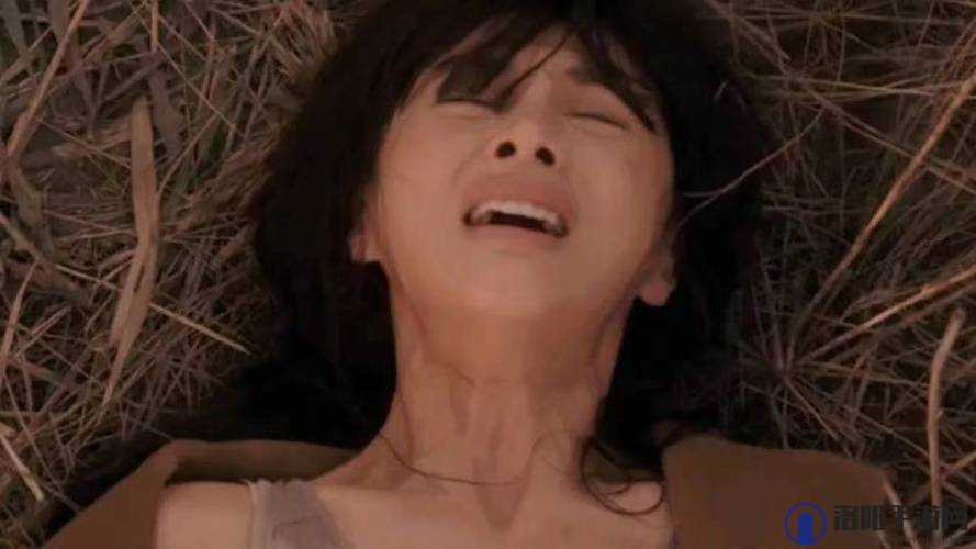日本 AAAAA 片之独特魅力与精彩呈现