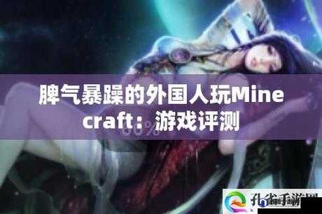 暴躁老外玩 Minecraft 中国:老外体验方块世界的别样风情